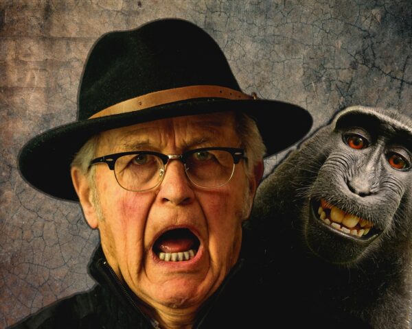 The Algorithmic Thread: Weaving Cohesive Patient Narratives