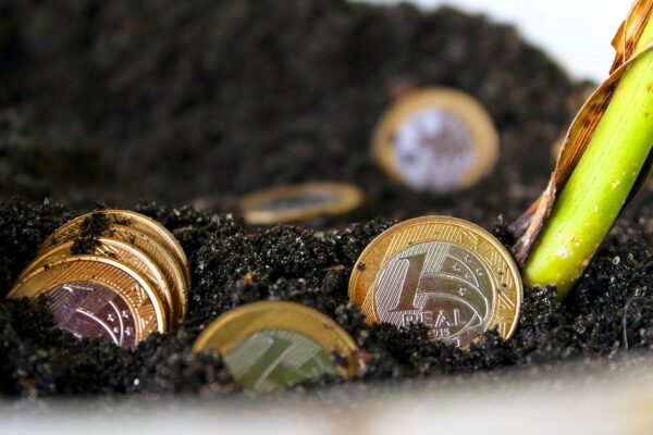 Capital For Change: Microfinances Digital Pivot For Equity