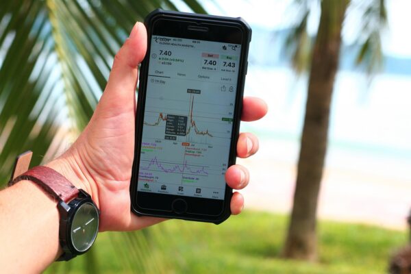 Beyond Balance: Architecting Your Adaptive Equilibrium