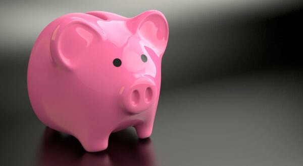 Predictive Fundamentals: Unearthing Future Value Drivers Systematically
