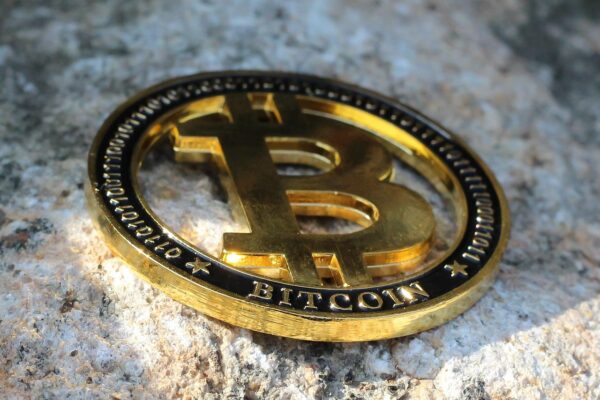 Network Effects: Altcoins Forging New Digital Economies