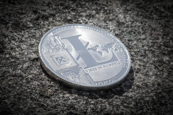 Decentralized Incentives: Governing Protocols Through Algorithmic Economics