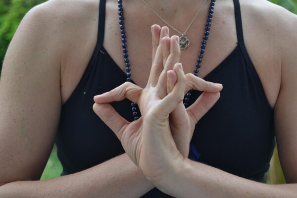 Pranayama: Recalibrating Vagal Tone For Cognitive Resilience