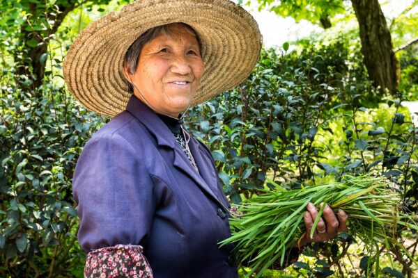 Telehealths Tapestry: Weaving Equity Into Remote Care Systems