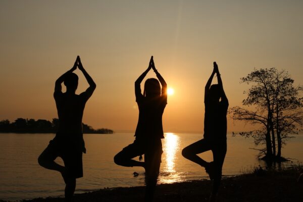 The Architecture Of Yoga Sequences: Mindful Movement Narratives